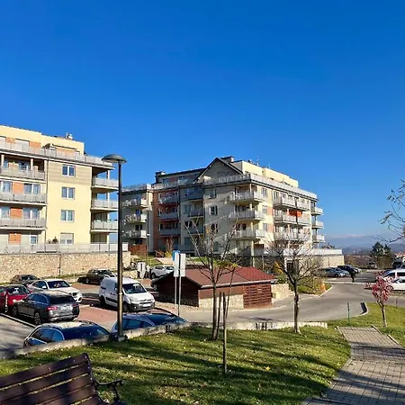 Apartament Margaret Atwood *